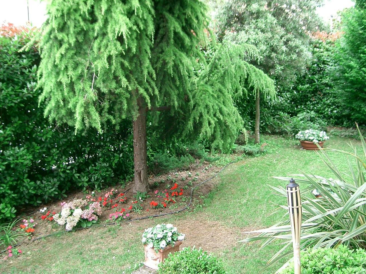 B&B Casa Boscolo Piove di Sacco Εξωτερικό φωτογραφία